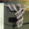 ARNt - Image 4