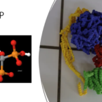 Proiect de lectie folosind modele moleculare tipărite 3D