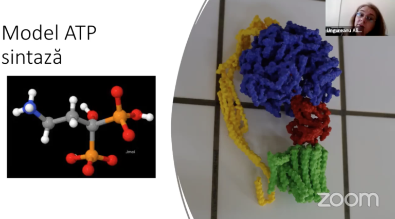 Read more about the article Proiect de lectie folosind modele moleculare tipărite 3D