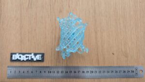 PXL_20250902_095314633