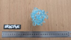 PXL_20250902_095322220