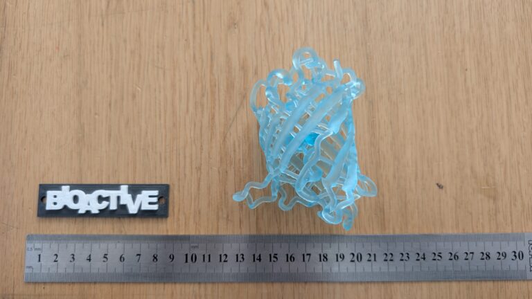 Read more about the article Un alt exemplar de GFP – proteina verde-florescentă