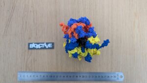 PXL_20251001_101132971