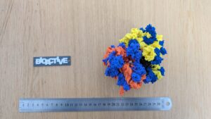 PXL_20251001_101154624